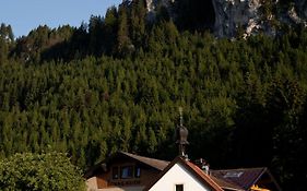 Der Tannenhof - Das Radfahrerhotel